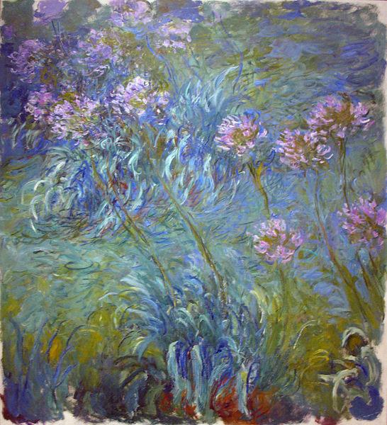 Claude Monet Agapanthus China oil painting art